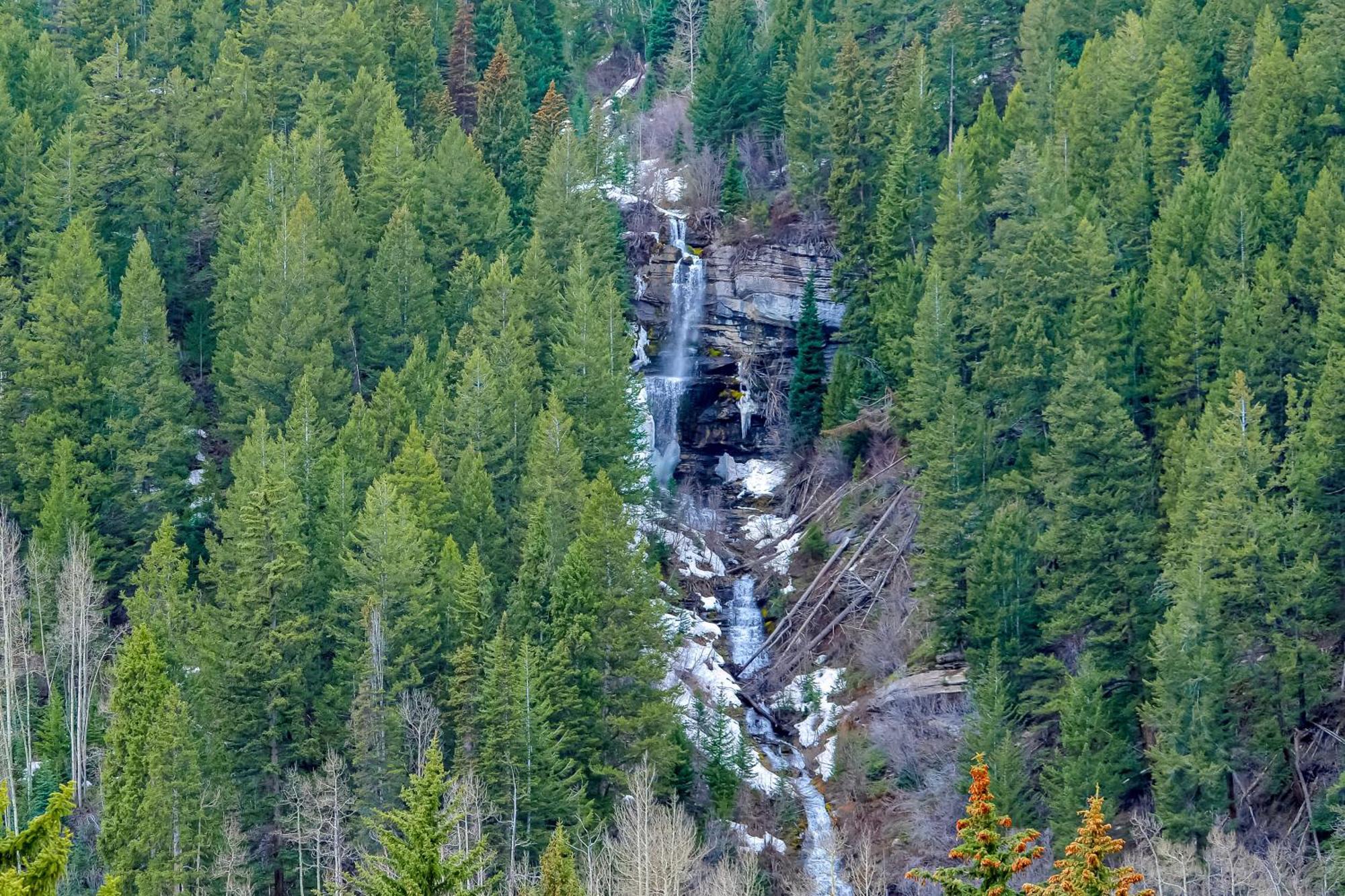 Апартаменты Pitkin Creek Вейл Номер фото